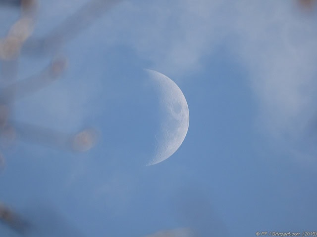 Branches floues, nuages, et la Lune !
