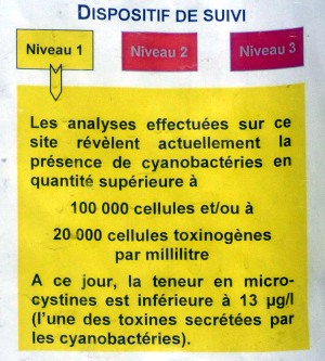 Analyse eaux de loisirs - Cyanobactéries Niveau 1