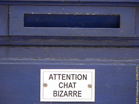 Avertissement « Attention, chat bizarre »