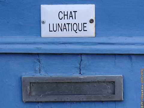 Avertissement « Chat lunatique »