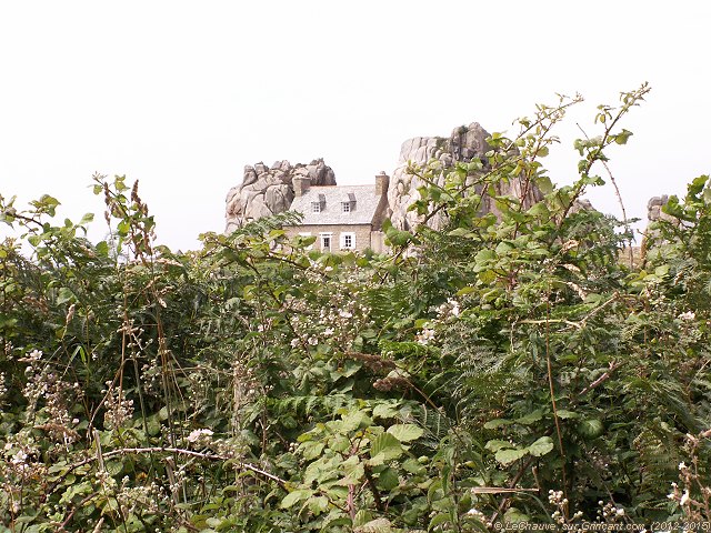 Castel-Meur dans les buissons – Juillet 2012, par Lechauve