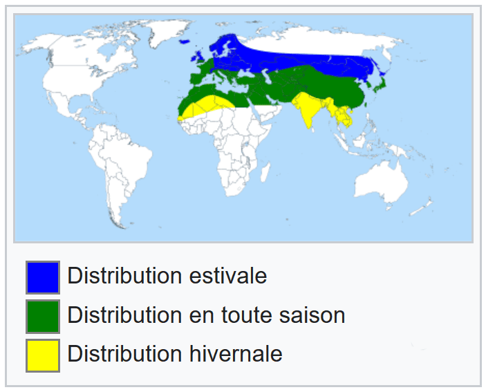 Distribution du Moro-Sphinx (Source Wikipédia)