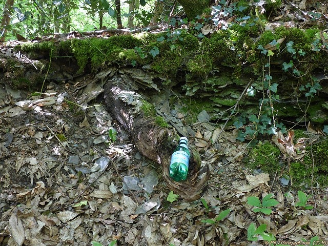 Une bouteille d'eau offerte par le bras de la forêt magique