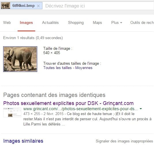 Éléphant branleur enfin dans l'index Google Images !