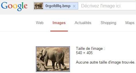 Éléphant censuré par Google Images (au 19/02/2015)