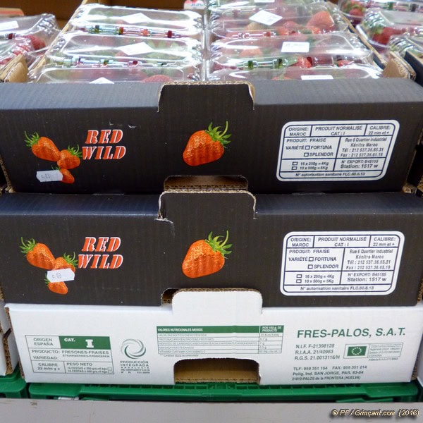 Fraises marocaines en plus des espagnoles