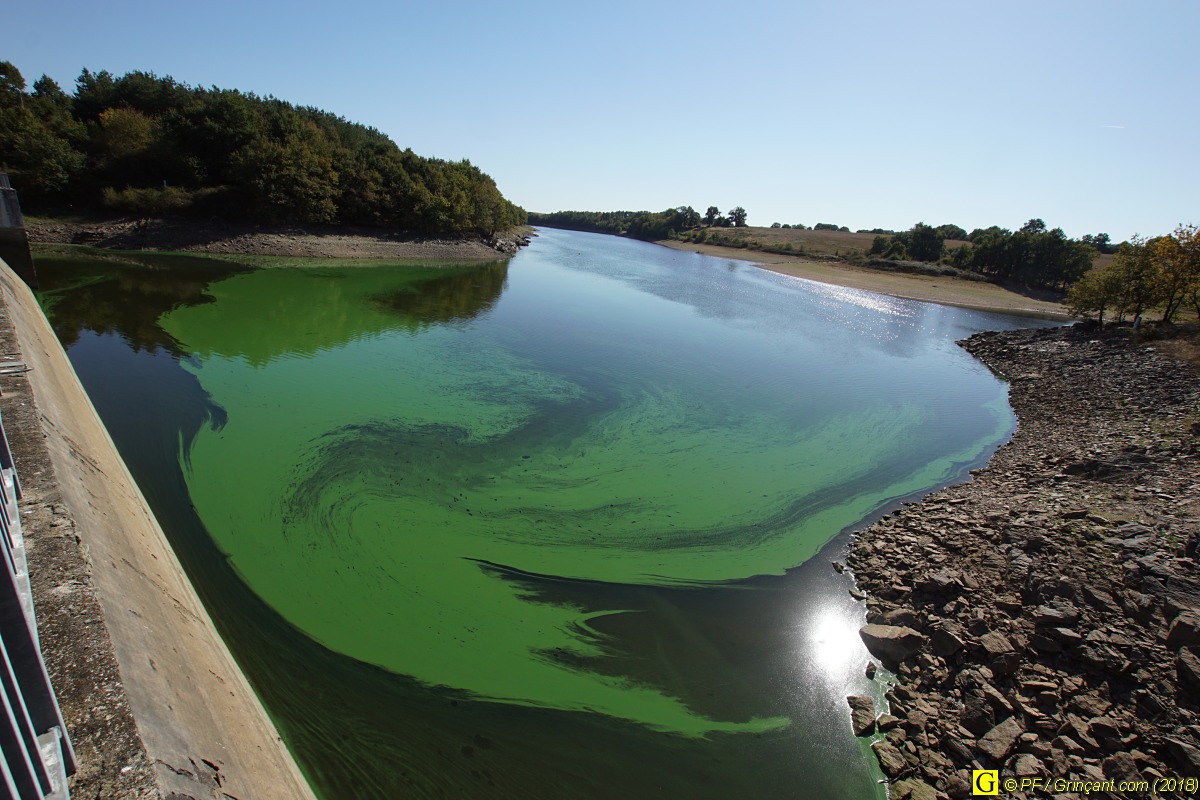 Lac pour eau potable et algues vertes — 05/10/2018
