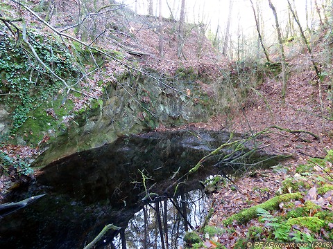 Mare glauque en forêt, idéale pour abandonner un politique