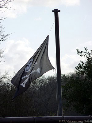 Drapeau de pirate sur péniche