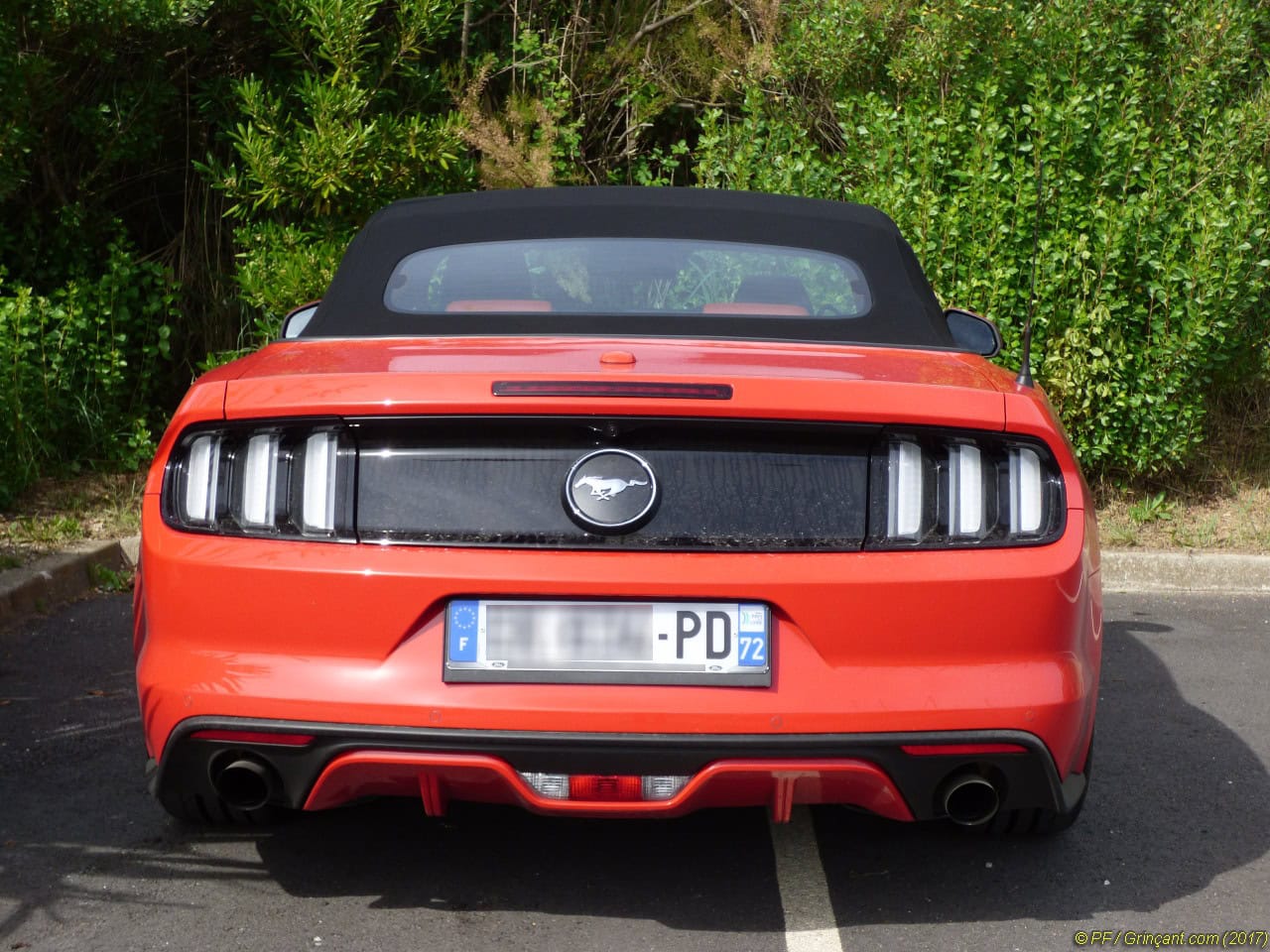 Mustang de la Sarthe