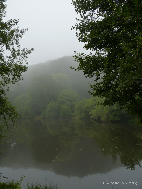 Etang - Brume matinale