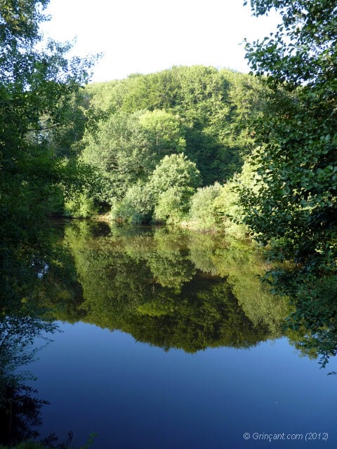 Etang ensoleillé