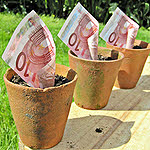 Billets en pots