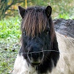 C'était ma journée de l'arnaque, et vous ? C'était ma journée de l'arnaque, et vous ?