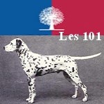 Abus de biens sociaux et UMP aux 101 Dalmatiens