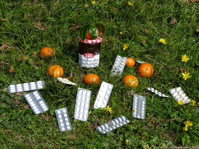 Confiture, clémentines et des plaquettes de médicaments, dans l'herbe