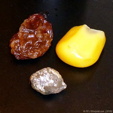 Un raisin sec, un grain de maïs, un caillou