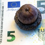 Que faire si près de loiseau les helminthes