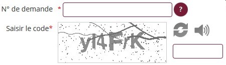 Un captcha de "Où en est votre passeport?"