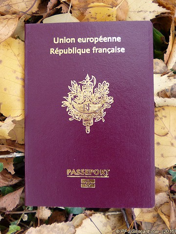 Passeport biométrique sur feuilles mortes
