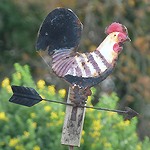 Rappelez-moi, votez pour moi... Coq penché, flèche rouillée