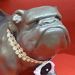 Un petit message « grinçant » de lecteur Bulldog de pacotille