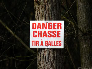 DANGER CHASSE, TIR À BALLES