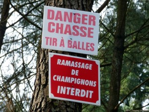 DANGER CHASSE, TIR À BALLES - RAMASSAGE DE CHAMPIGNONS INTERDIT