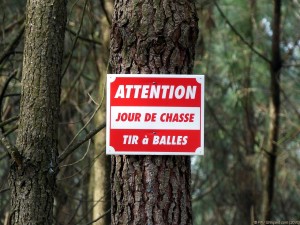 ATTENTION, JOUR DE CHASSE, TIR à BALLES