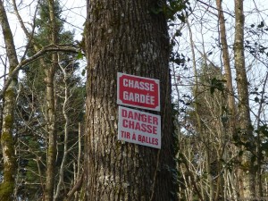 CHASSE GARDÉE - DANGER CHASSE, TIR À BALLES