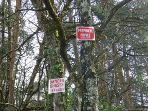 2 panneaux sur 2 arbres, "DANGER CHASSE, TIR À BALLES" & "PROPRIÉTÉ PRIVÉE, Défense d'entrer"