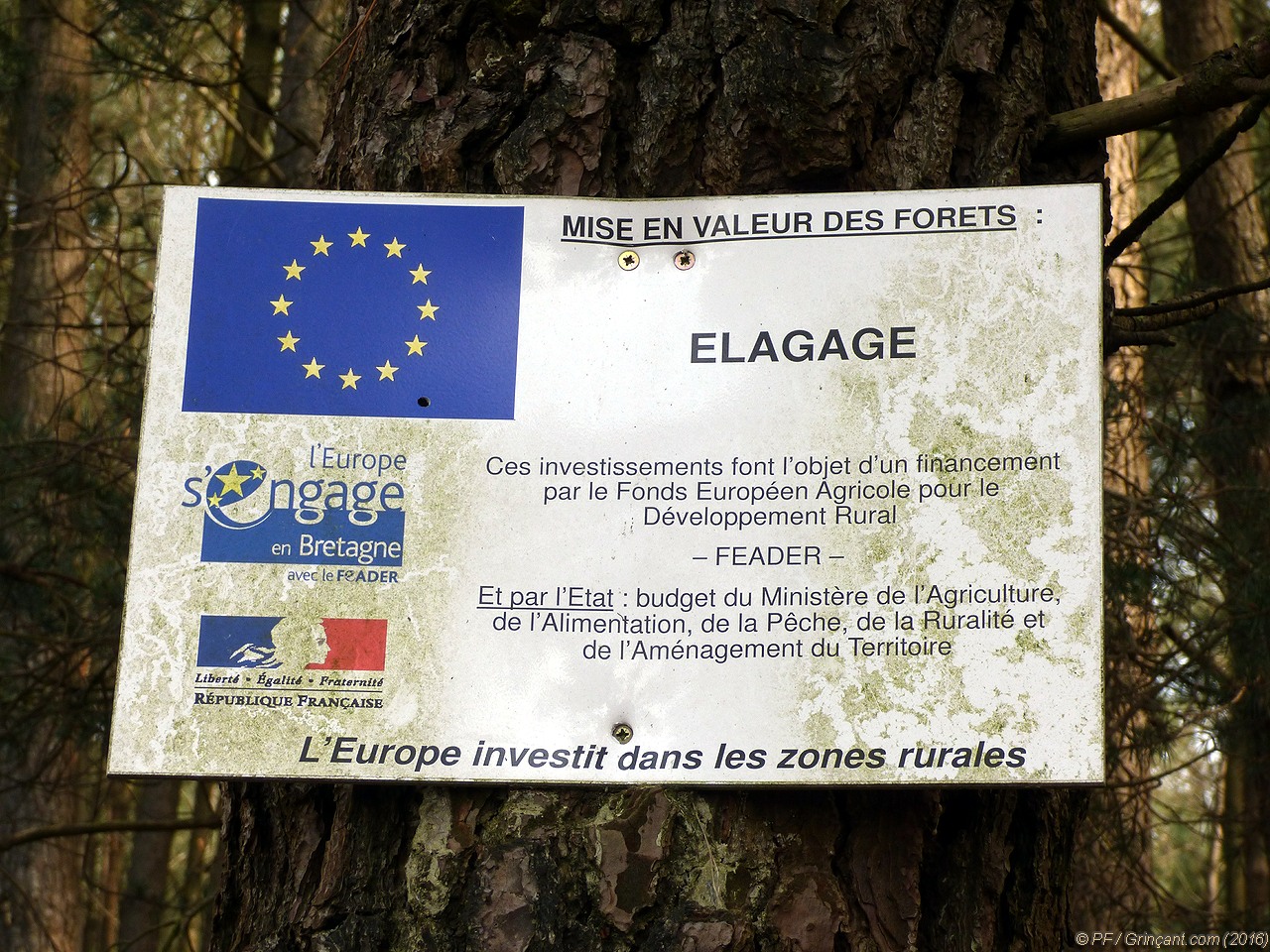 Pancarte "MISE EN VALEUR DES FORÊTS : ÉLAGAGE", financement européen FEADER