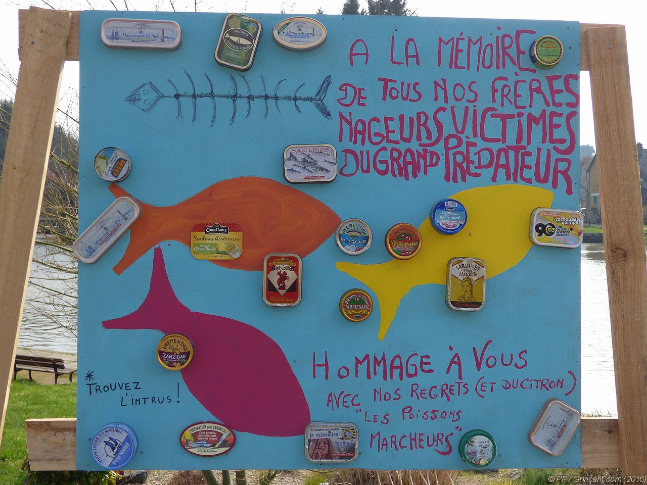 Art de rue & militantisme, panneau « À la mémoire de tous nos frères nageurs victimes du grand prédateur", avec des conserves de poisson