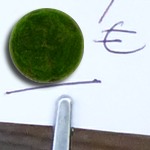 Boule de mousse Une boule de mousse en euros