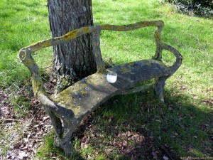 Le banc, avec la bougie. Un arbre derrière.