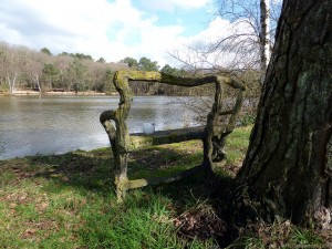 Le banc en béton, avec la bougie. L'étang en face.