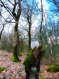 La bougie sur un tronc cassé