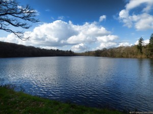 L'étang au milieu de la forêt