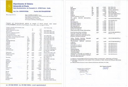 Vers Analyses Sans Pellegrino