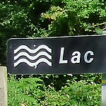 Du Mensonger à la vérité du monde des libellules et des papillons Panneau lac