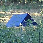 balise-bleue