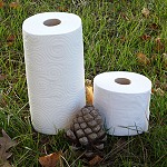 J'ai testé : PQ et essuie-tout en rouleaux optimisés Essuie-tout, papier toilette, pomme de pin