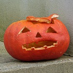 Mes photos insolites du 26 novembre 2016 Citrouille d'Halloween rencontrée un 26 novembre