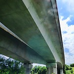 Comme une autoroute vers l’abattoir Le pont autoroutier au-dessus d'un paisible troupeau