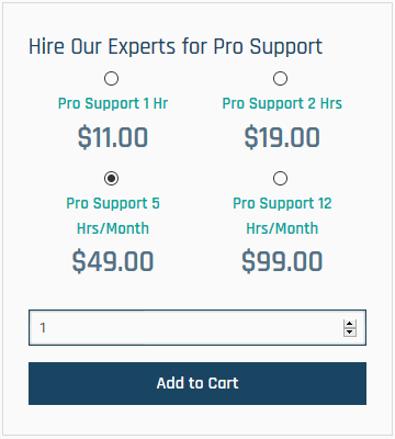 Hire Our Experts for Pro Support