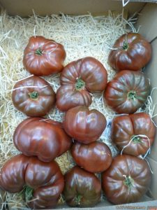 Plateau de tomates noires