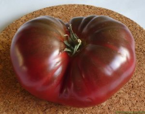 Tomate noire de 345 grammes