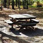 Tables de pique-nique et concours de connerie Table de pique-nique en forêt