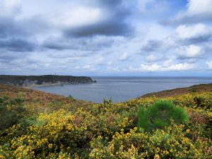 3/14 – Cap Fréhel