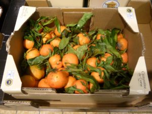 Clémentines de Corse toutes fraiches chez Lidl, carton 1